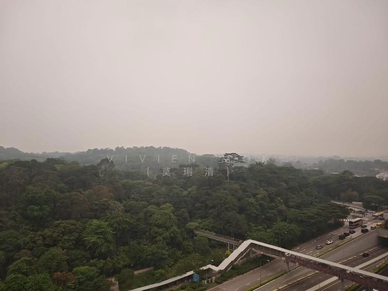 Bukit Timah Shopping Centre, 170 Upper Bukit Timah Road, Clementi Park / Upper Bukit Timah, 1,100 sqft, Office For Rent, by Vivien Mok (莫琍清), 25422929 - Panoramic greenery view - CommercialGuru.com.sg