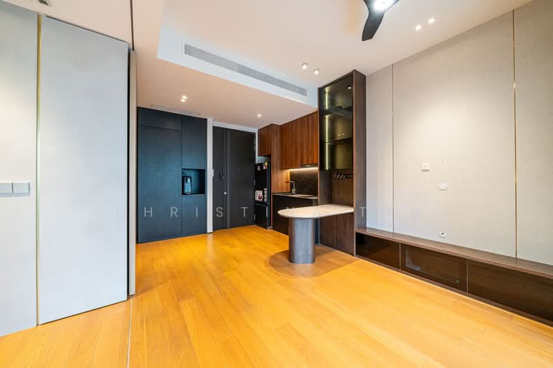 OUE Twin Peaks, 33 Leonie Hill Road, 1 Bedroom, 549 sqft, Condominium For Rent, by Christina Tan, 25423414 - PropertyGuru.com.sg