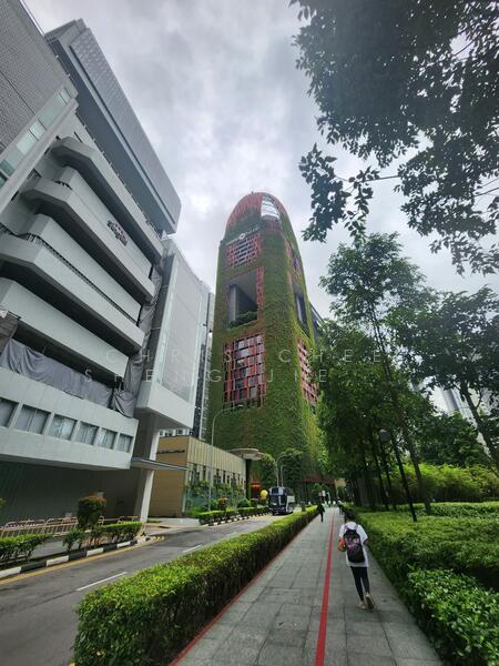 COMMERCIAL SCHOOL / INTERNATIONAL SCHOOL / OFFICE @ TANJONG PAGAR, , 12,660 sqft, Office For Rent, by Chris Chee Sheng Jie 徐胜杰, 25427107 - CommercialGuru.com.sg