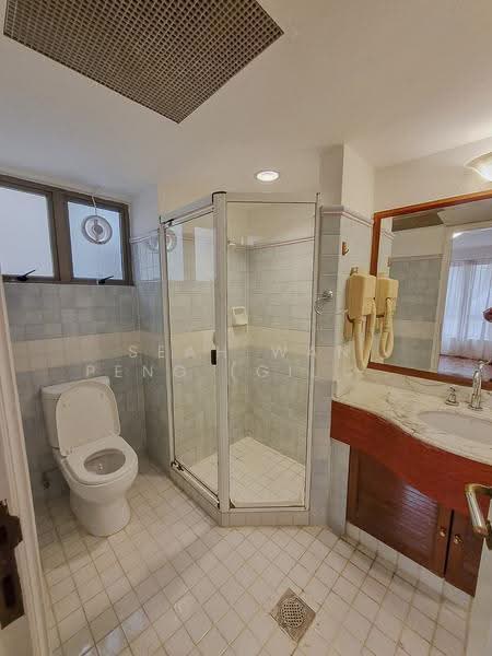 Cavenagh Lodge, 81 Cavenagh Road, Orchard / River Valley, 3 Bedrooms, 1,591 sqft, Apartment For Rent, by Seah Wan Peng (Gilda), 25430873 - Master Bath - PropertyGuru.com.sg