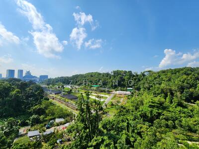 For Sale - Normanton Park