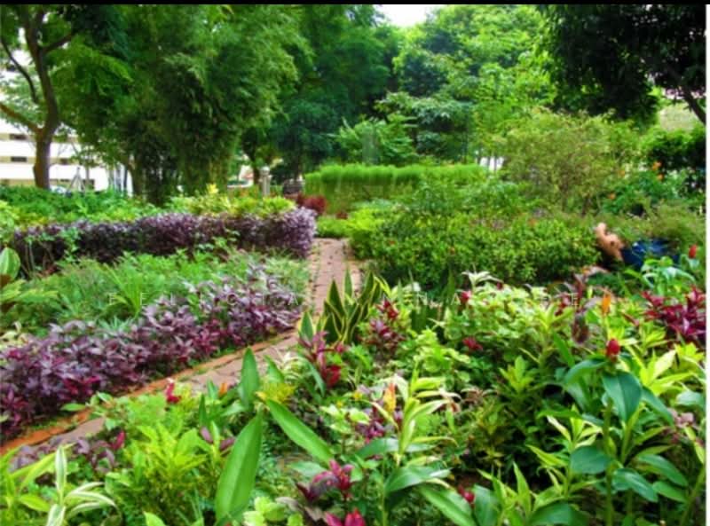 Ivory Heights, 122 Jurong East Street 13, Room Rental, 109 sqft, Condominium For Rent, by Felicia Anna Lee, 25442231 - PropertyGuru.com.sg