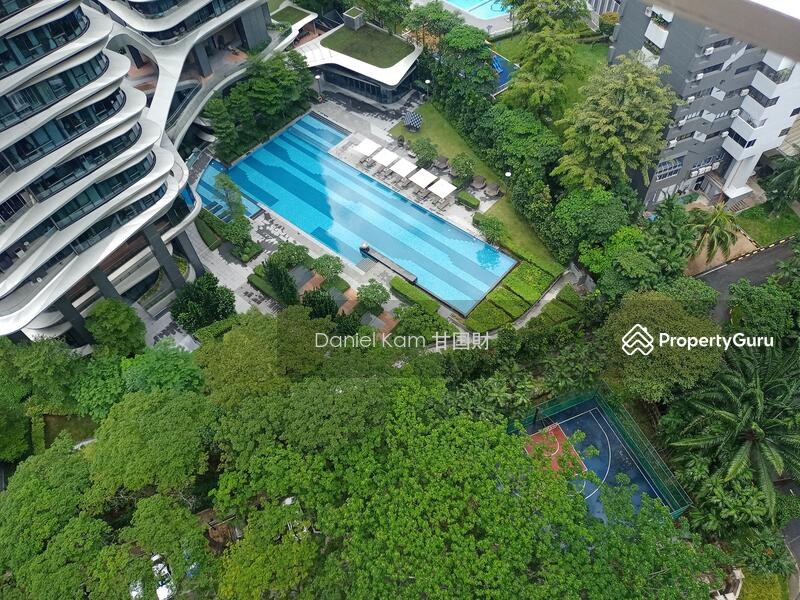 For Rent - Brand New Condo Apartment House Rent Orchard Newton Novena Bukit Timah Holland near mrt station