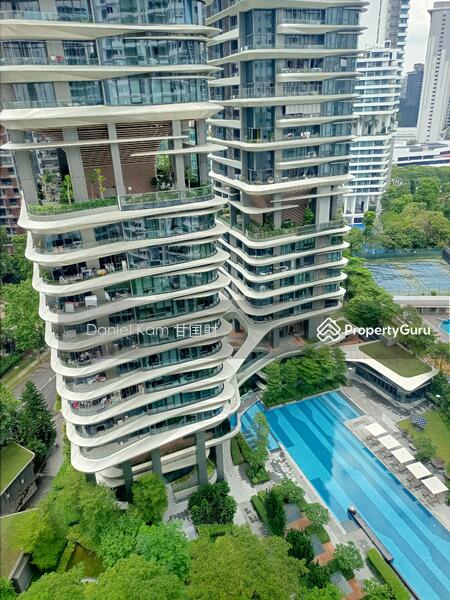 For Rent - Brand New Condo Apartment House Rent Orchard Newton Novena Bukit Timah Holland near mrt station