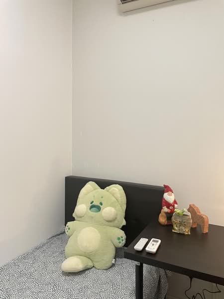 Emerald Park, 6 Indus Road, Room Rental, 900 sqft, Condominium For Rent, by Kris Li, 25443473 - PropertyGuru.com.sg