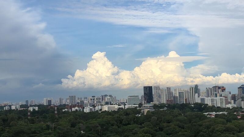 For Rent - 42A Margaret Drive