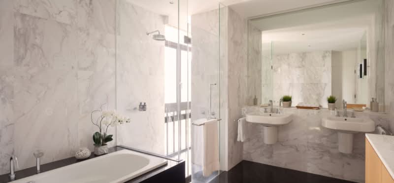 The Colonnade, 82 Grange Road, 3 Bedrooms, 3,993 sqft, Condominium For Rent, by Gilad Coppersmith, 25445628 - PropertyGuru.com.sg