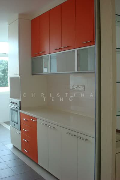 Katong Gardens, 235 Tembeling Road, 4 Bedrooms, 2,350 sqft, Condominium For Rent, by Christina Teng, 2544928 - renovated kitchen - PropertyGuru.com.sg