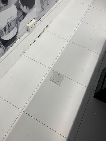 East Village, 430 Upper Changi Road, 215 sqft, Mall Shop For Rent, by Joshua Tech, 25452139 - CommercialGuru.com.sg