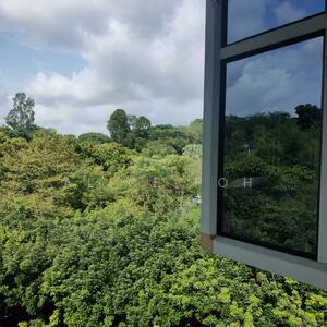 For Sale - White House Park