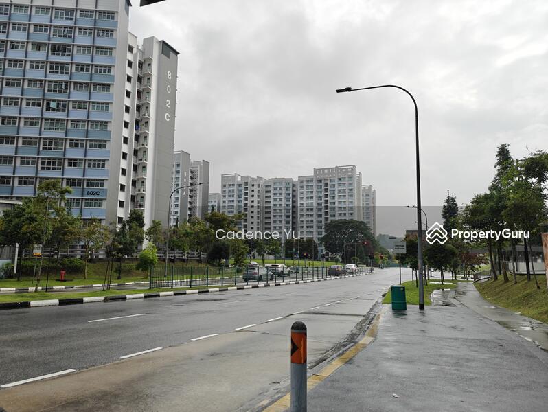 For Sale - 490B Choa Chu Kang Avenue 5