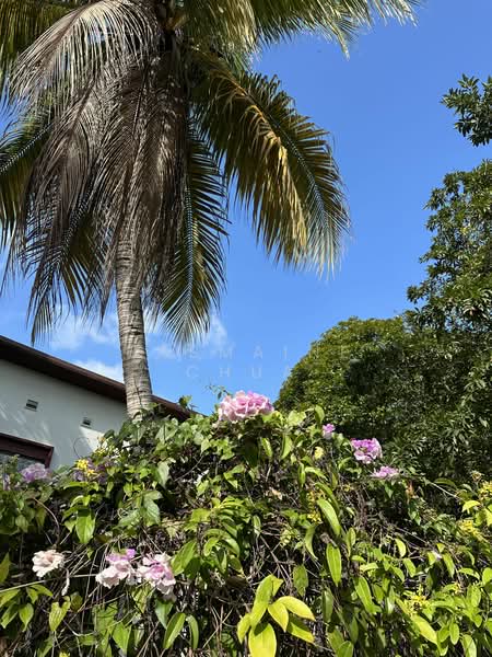 For Sale - Balmoral Park Detached House Land For Sale