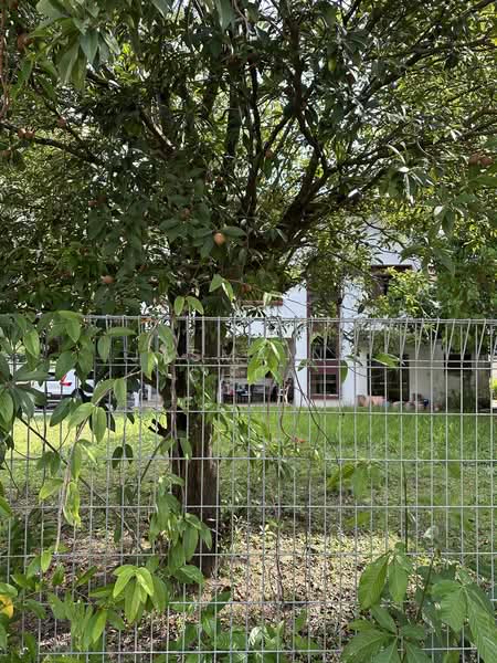 For Sale - Balmoral Park Detached House Land For Sale