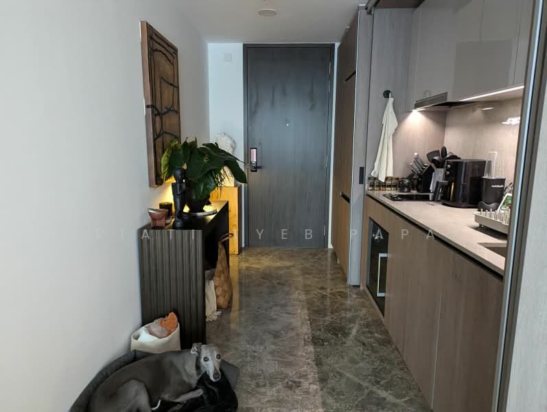 Avenue South Residence, 1 Silat Avenue, 1 Bedroom, 527 sqft, Condominium For Rent, by Ariati Tyeb Papar, 25459671 - PropertyGuru.com.sg
