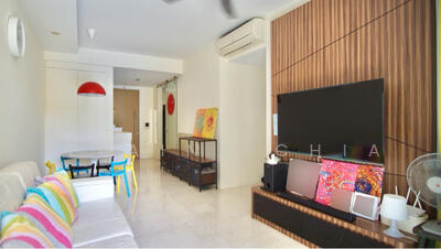 For Sale - Skies Miltonia