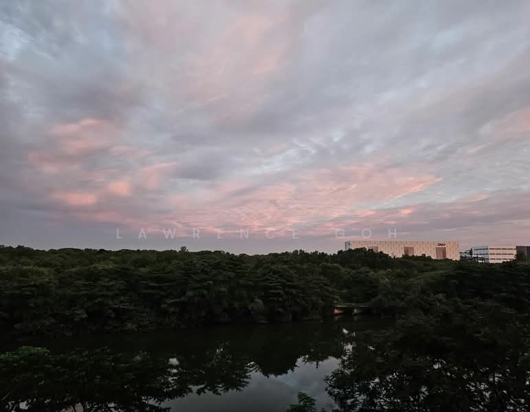 476C Upper Serangoon View, 476C Upper Serangoon View, Room Rental, 100 sqft, HDB Flat For Rent, by Lawrence Goh, 25462321 - Tranquility Scenery Part 4 Of 4 (Sunset).  - PropertyGuru.com.sg