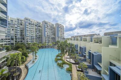 For Sale - Skies Miltonia