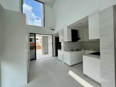 For Sale - Jalan Yasin Brand New Freehold Semi Detached 8 ensuites