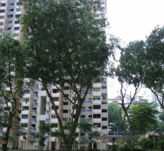 For Rent - 11 Holland Drive