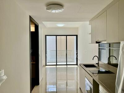 For Sale - The Gazania