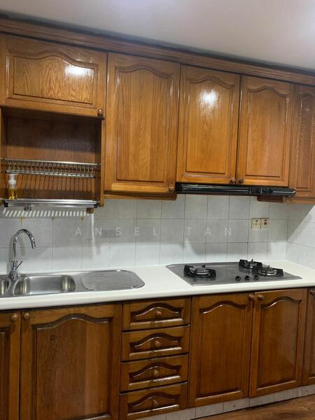 Master Bedroom near to Katong Park MRT for lease, , Room Rental, 160 sqft, Condominium For Rent, by Ansel Tan, 25478774 - PropertyGuru.com.sg