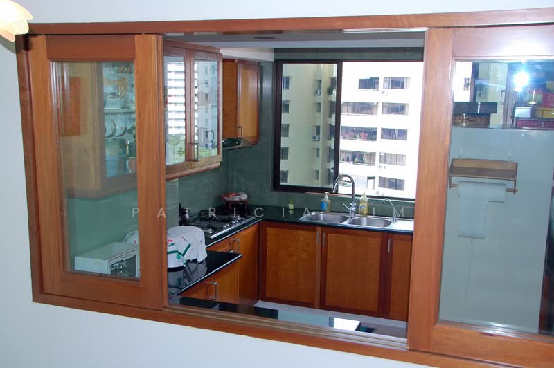 Pandan Valley, 3 Pandan Valley, 3 Bedrooms, 1,335 sqft, Condominium For Rent, by Patricia Lim, 25479580 - Bright kitchen with unblock view - PropertyGuru.com.sg