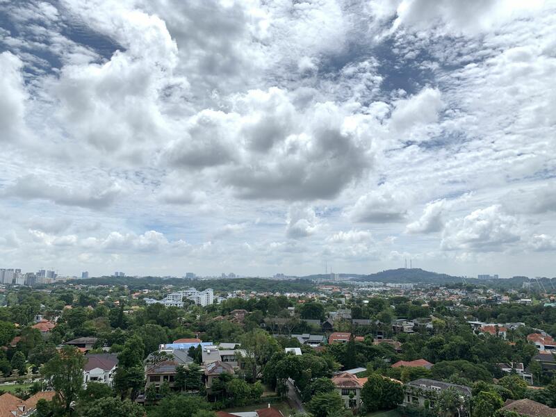 For Rent - d'Leedon (Former Farrer Court)