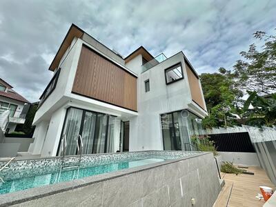 For Sale - Freehold Newly Built Detached at Bukit Timah