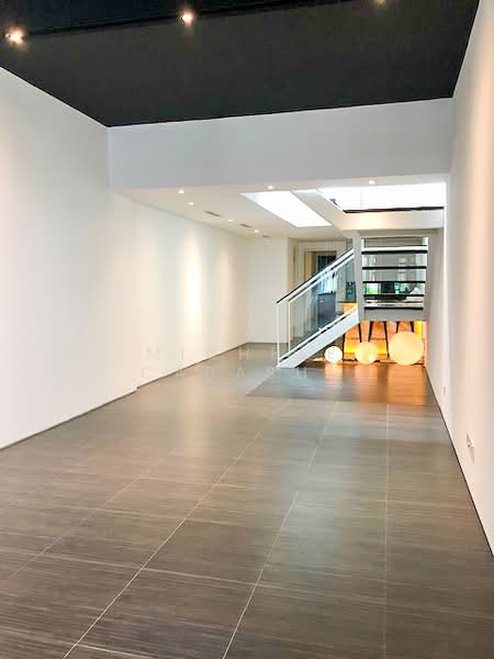 Emerald Hill Conservation Area, Emerald Hill Road, 4 Bedrooms, 3,000 sqft, Conservation House For Sale, by Michele Cabasug, 25485320 - PropertyGuru.com.sg
