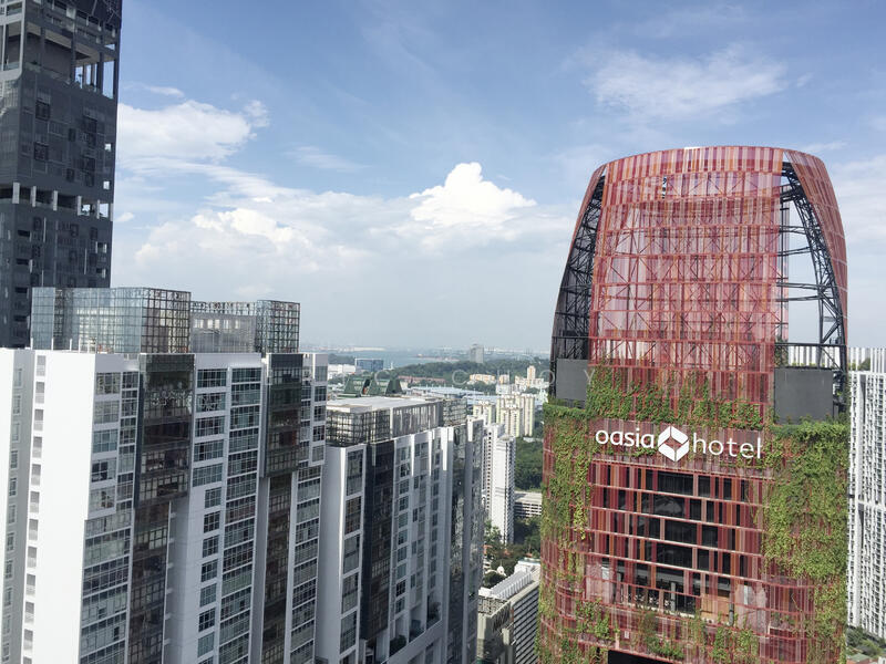 For Rent - International Plaza