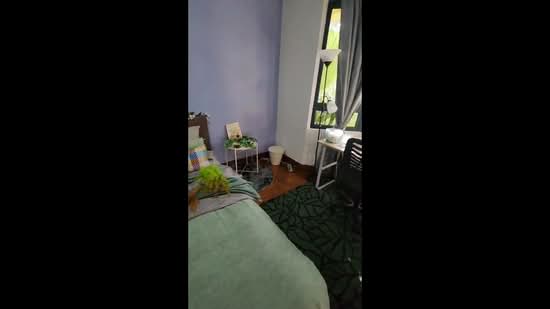 Westcove Condo, 10 West Coast Crescent, Room Rental, 150 sqft, Condominium For Rent, by Louis Siow, 25489234 - PropertyGuru.com.sg
