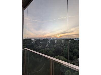 For Sale - Normanton Park