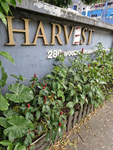 Harvest @ Woodlands, 280 Woodlands Industrial Park E5, Sembawang / Yishun, 2,863 sqft, Light Industrial (B1) For Rent, by SH Liew, 25493974 - CommercialGuru.com.sg
