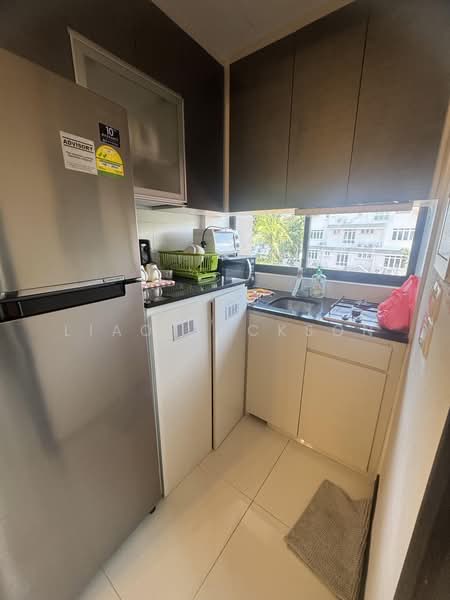 Viva Vista, 3 South Buona Vista Road, 1 Bedroom, 398 sqft, Apartment For Rent, by Liao Jackson, 25494605 - PropertyGuru.com.sg