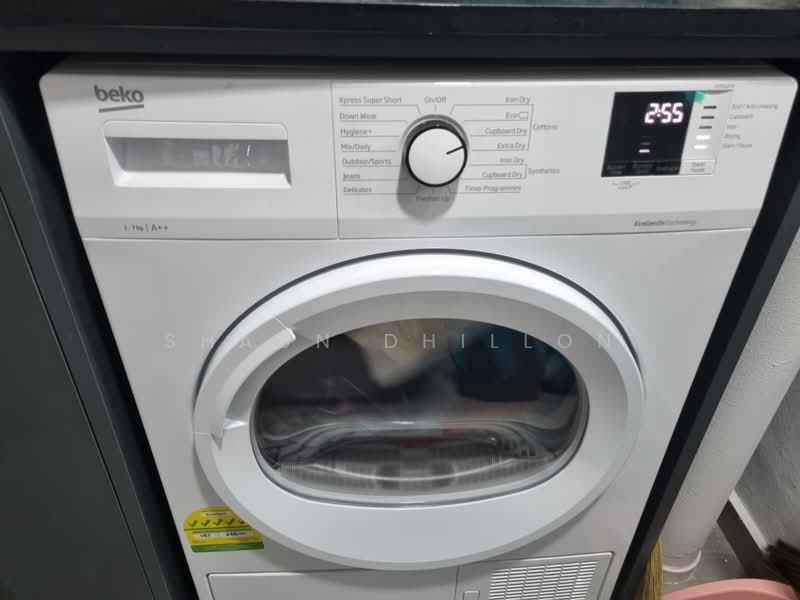 123B Rivervale Drive, 123B Rivervale Drive, Room Rental, 100 sqft, HDB Flat For Rent, by Shaun Dhillon, 25495005 - PropertyGuru.com.sg