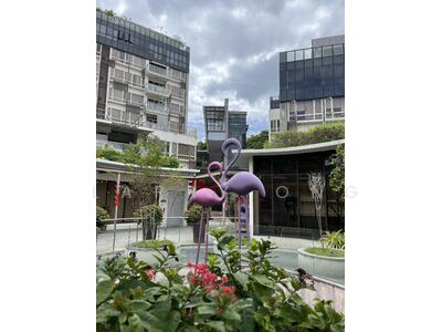 For Sale - Flamingo Valley