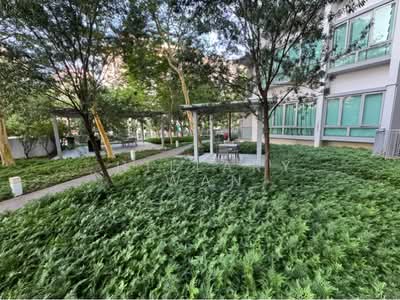 For Rent - Livia