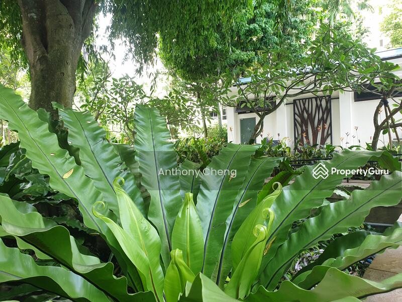 For Sale - Ardmore Park