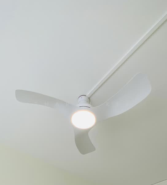 New ceiling fan cum light