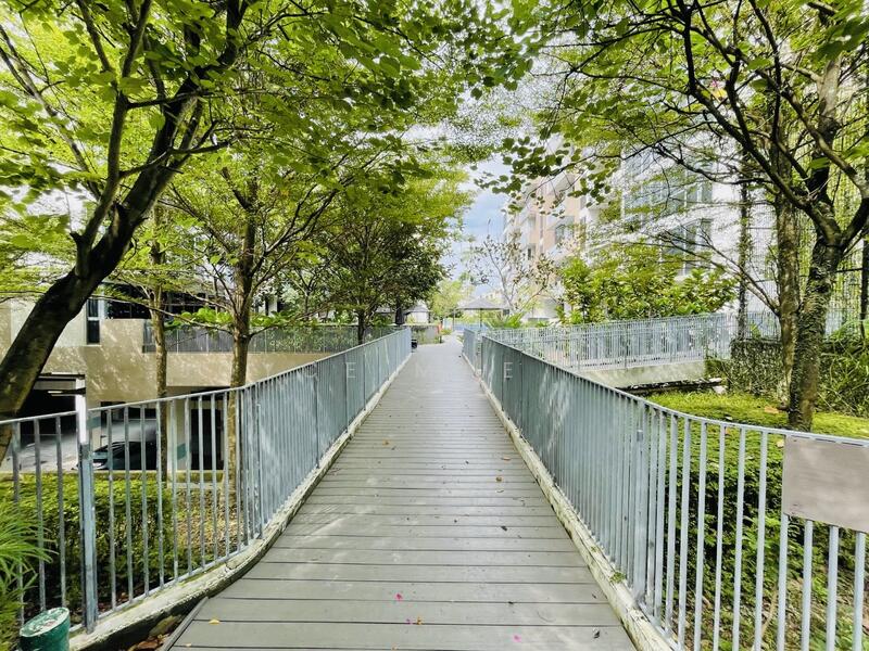 Canopy Boardwalk