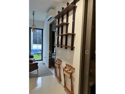 For Sale - Sycamore Tree