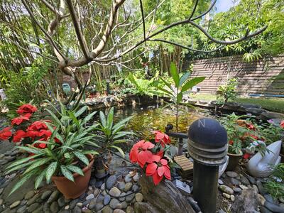 For Sale - ⭐PRICE DOWN⭐WAIT NO MORE✅Sunbird Estate✅FREEHOLD Semi-D below $1500psf