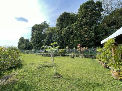 For Sale - D20 Rare Freehold Land Facing Forest