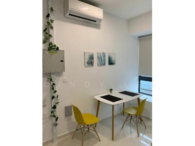 For Sale - Sycamore Tree