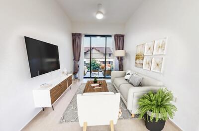 For Sale - The Gazania