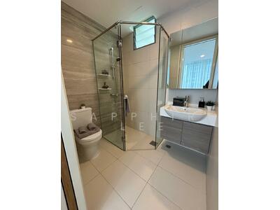 For Sale - Skies Miltonia