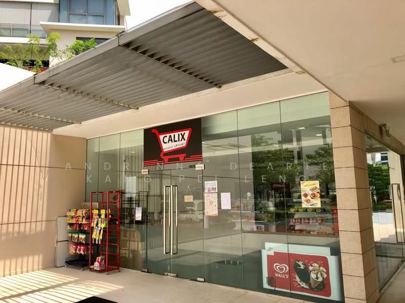 Miltonia Residences, 520 Miltonia Close, 2 Bedrooms, 840 sqft, Condominium For Rent, by Andrinna Dearte Kang Pei Leng, 25517002 - PropertyGuru.com.sg