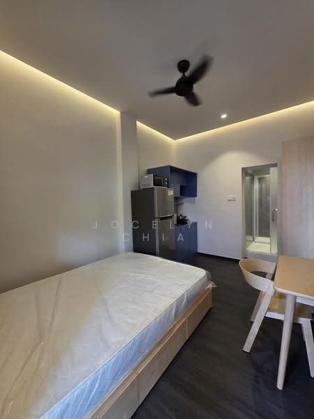 STUDIOS near Newton mrt station, Bukit Timah Road, Newton / Novena, 1 Bedroom, 200 sqft, Detached House For Rent, by Jocelyn Chia, 25517112 - PropertyGuru.com.sg