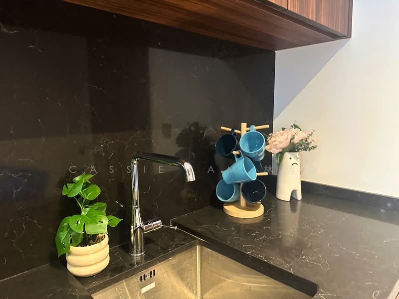 Pullman Residences, 18 Dunearn Road, 1 Bedroom, 463 sqft, Condominium For Rent, by Cassie Lam 林羿伶, 25522273 - PropertyGuru.com.sg