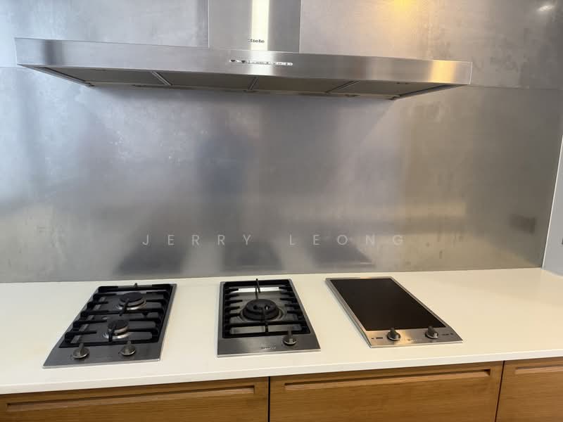 Hilltops, 101 Cairnhill Circle, 4 Bedrooms, 2,465 sqft, Condominium For Rent, by Jerry Leong, 25522989 - PropertyGuru.com.sg